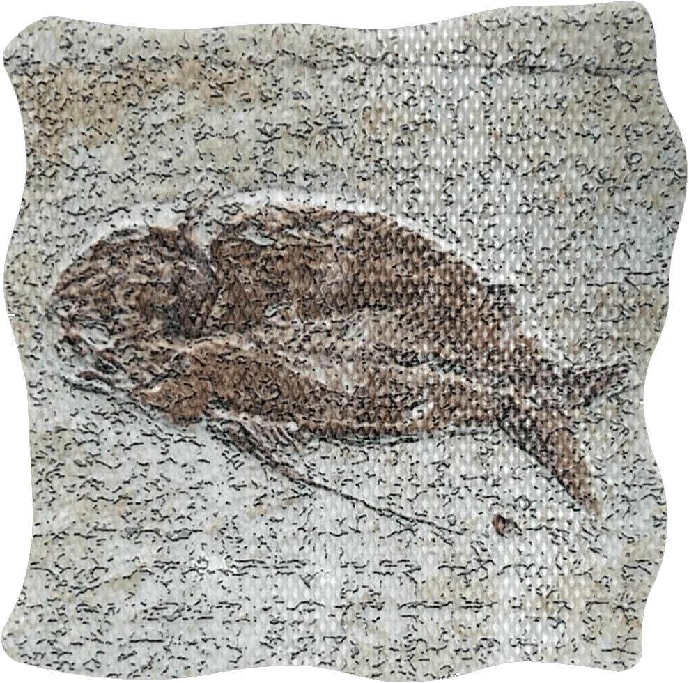 Kahuna Grip Non-Slip Safety Traction Grip Stickers - Kahuna Grip